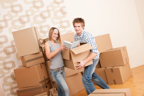 Professional man with van service for local moves in Ilford