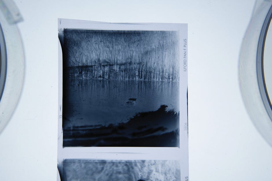 A black and white printed photograph shows a lakeside scene with leafless trees along the shoreline, reflecting on the water's surface. The photo includes a small boat floating near the trees. The ima